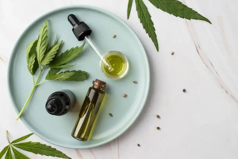 Germany Cannabis Revolution: Everything You Need to Know