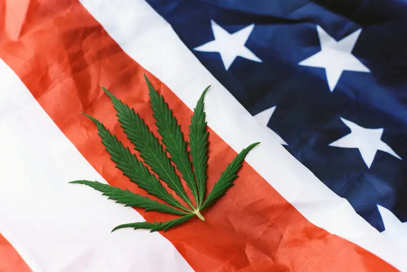 Medical Marijuana in the US as a Foreign Visitor: What Actually Works
